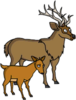 Buck and Fawn.png