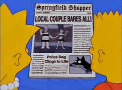 Shopper Local couple Bares all; Police Dog clings to life.png