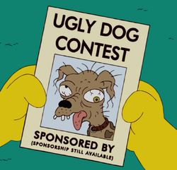 Ugly Dog Contest.png