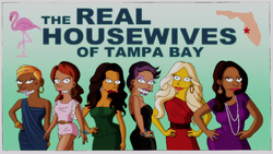 The Real Housewives of Tampa Bay.png