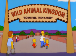 Wild Animal Kingdom.png