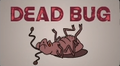 Dead Bug.png
