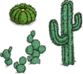 Cactus Bundle.png