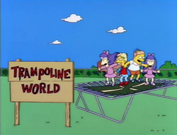 Trampoline World .png