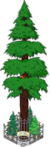 World's Largest Redwood Level 10.png