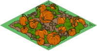 Tapped Out Pumpkin Patch.png