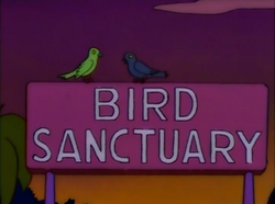 Bird Sanctuary.png