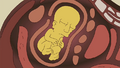 Unborn Seymour.png