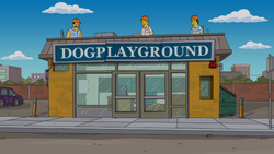Dog Playground.png
