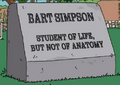 Bart Simpson Student of Life, But Not of Anatomy (Gravestone).png