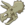 Fossil Skull
