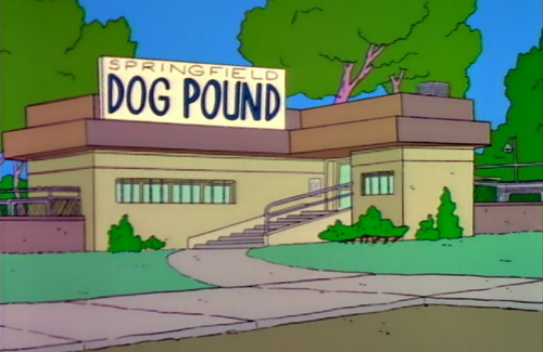 Springfield Dog Pound - Wikisimpsons, The Simpsons Wiki