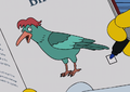 The Haw Haw Bird.png