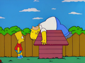 Homer on doghouse.png