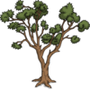 Desert Tree.png