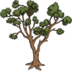 Desert Tree.png