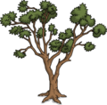 Desert Tree.png