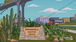 Springfield Cactus Patch.png
