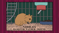 Nibbles memorial.png