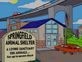 Springfield animal shelter.png