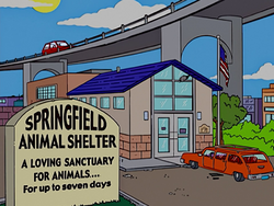 Springfield animal shelter.png
