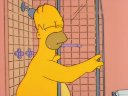 Homer and Apu homer.png