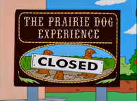 The Prairie Dog Experience.png