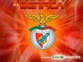 Benfica-5.jpg
