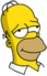 Homer - Tipsy