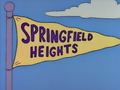 Springfield Heights softball team.png