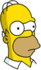 Homer - Curious