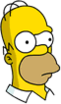 Homer - Curious