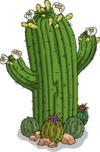 TSTO Mother Cactus.png