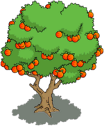 Tapped Out Orange Tree.png