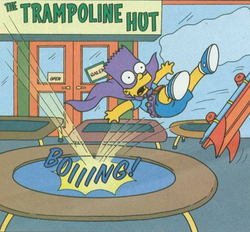 The Trampoline Hut.png