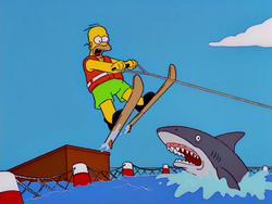 Jump the Shark.png