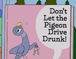 Don't Let the Pigeon Drive Drunk.png