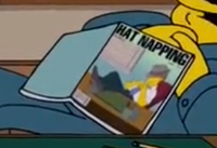 Hat Napping.png