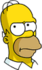 Homer - Skeptical