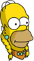 Tapped Out Homer Sacagawea Icon.png