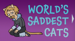 World's Saddest Cats.png