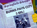 Shopper Burns Pays City 3 Mil.png