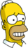 Homer - Cautious