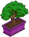 Tapped Out Bonsai.png