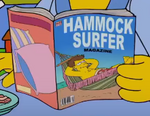 Hammock Surfer.png