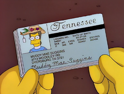 Mona Simpson license 2.png