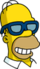 Homer - Poochie Sunglasses