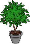 Tapped Out Ficus Plant.png