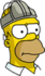 Homer - Codpiece Annoyed