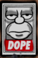 Homer Dope.png
